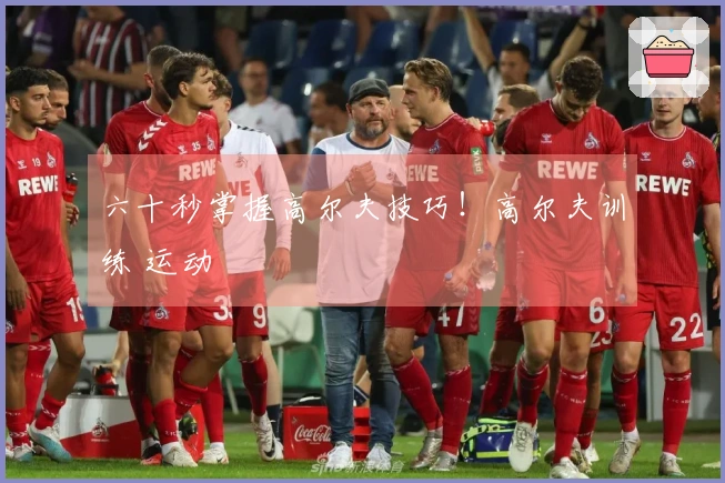 六十秒掌握高尔夫技巧！高尔夫训练 运动