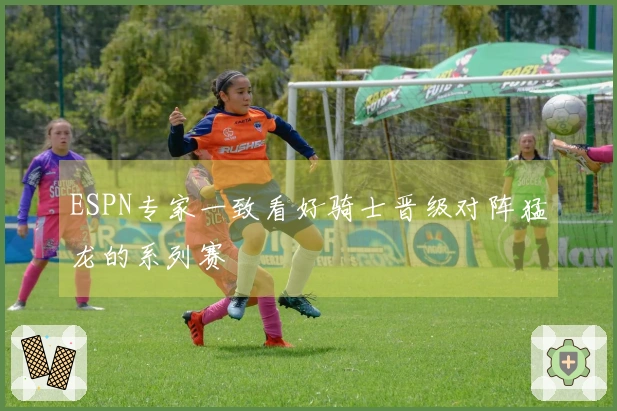 ESPN专家一致看好骑士晋级对阵猛龙的系列赛